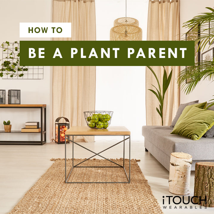 How To Be A Plant Parent